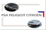 PSA Peugeot Citroen завоевал Южную Америку